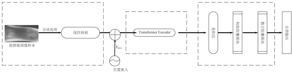 指靜脈識別模型訓(xùn)練方法及識別方法、系統(tǒng)和終端
